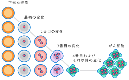 遺伝は乳がんにおいてどのような役割を果たしていますか?